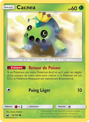 Cacnea n° 19 – Tempête Céleste