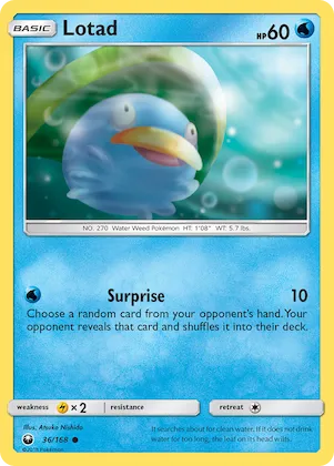 Lotad #36 – Celestial Storm
