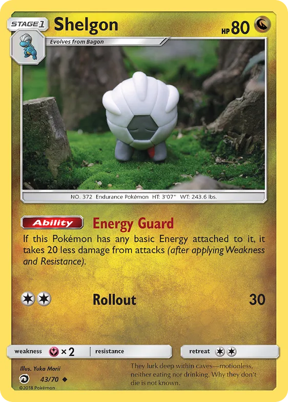 Shelgon #43 – Dragon Majesty