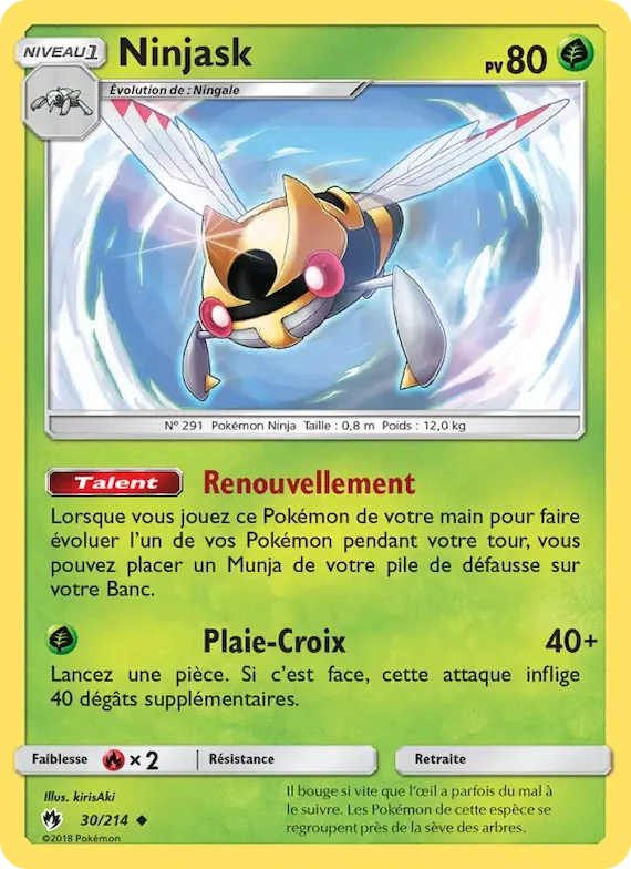 Ninjask 30 – Tonnerre Perdu