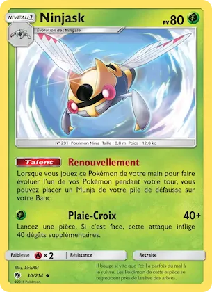 Ninjask n° 30 – Tonnerre Perdu