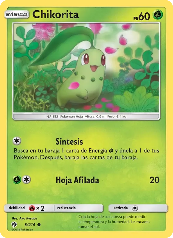Chikorita 5 – Truenos Perdidos