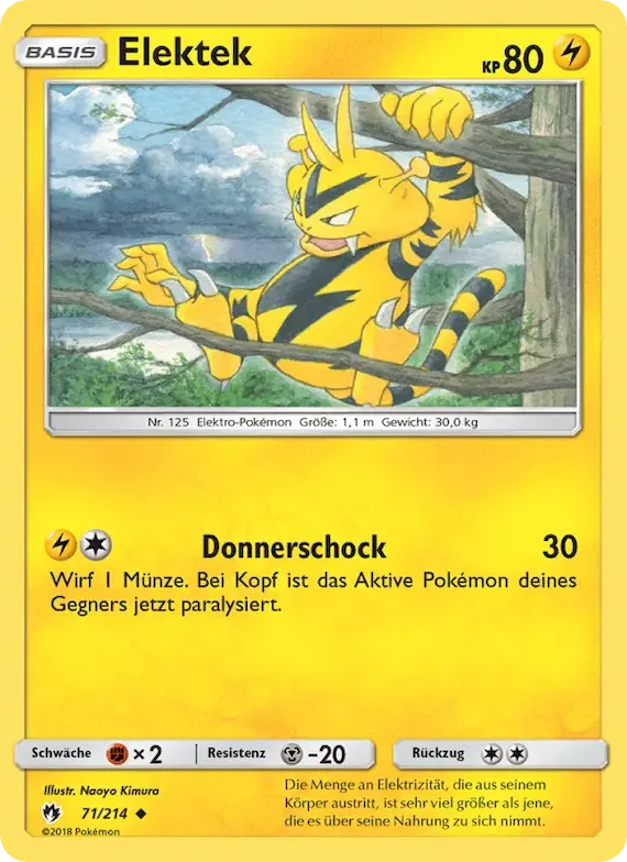 Elektek 71 – Echo des Donners