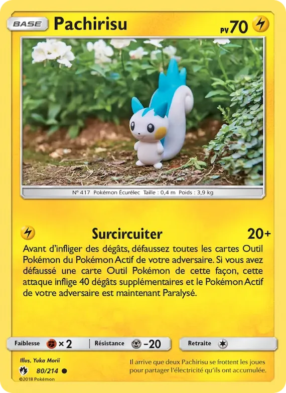 Pachirisu 80 – Tonnerre Perdu