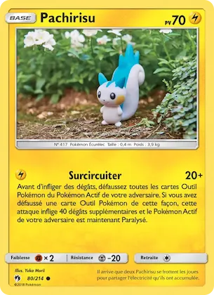 Pachirisu n° 80 – Tonnerre Perdu