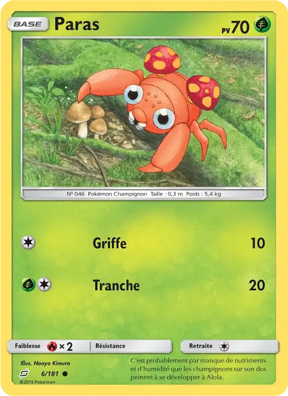 Paras 6 – Duo de Choc