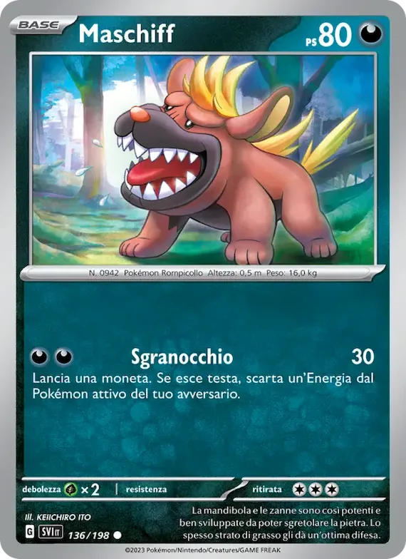 Maschiff 136 – Scarlatto e Violetto