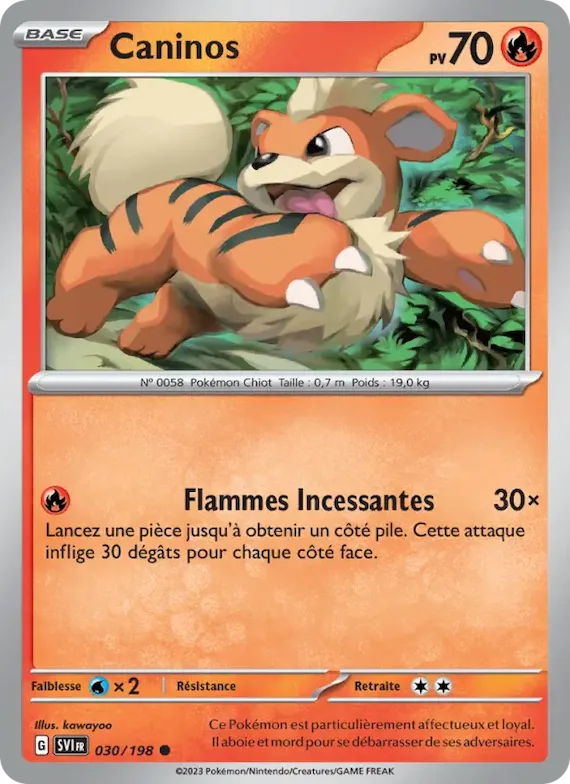 Caninos 30 – Écarlate et Violet
