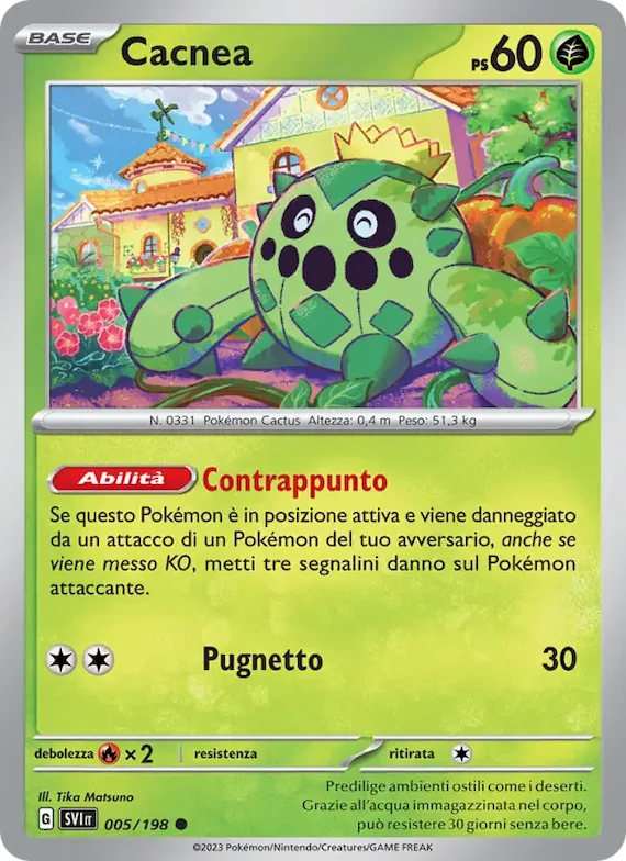 Cacnea 5 – Scarlatto e Violetto