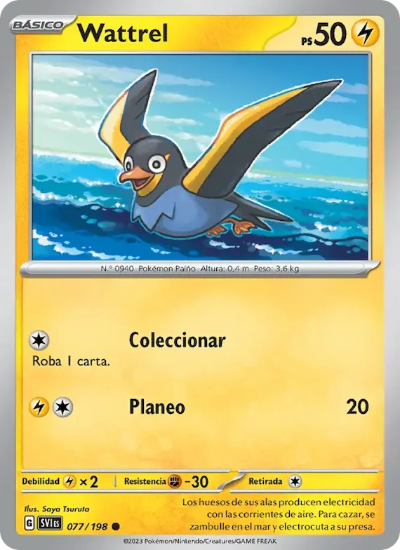 Wattrel 77 – Escarlata y Púrpura