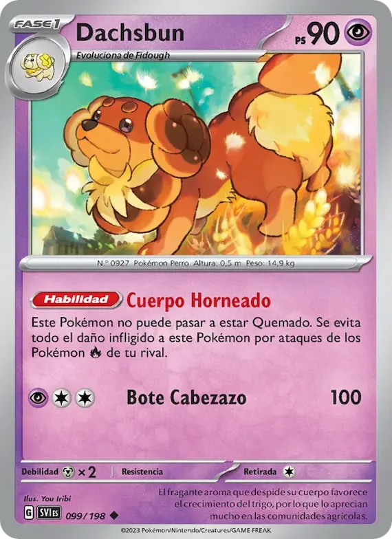 Dachsbun 99 – Escarlata y Púrpura