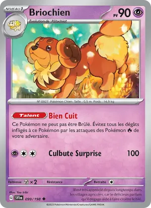 Briochien n° 99 – Écarlate et Violet