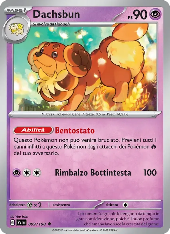 Dachsbun 99 – Scarlatto e Violetto