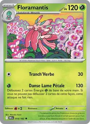 Floramantis n° 14 – Rivalités Destinées