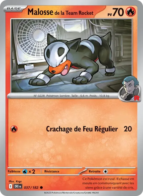 Malosse de la Team Rocket 37 – Rivalités Destinées