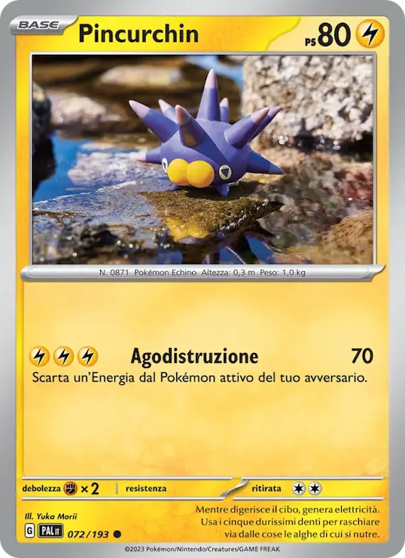 Pincurchin 72 – Evoluzioni a Paldea