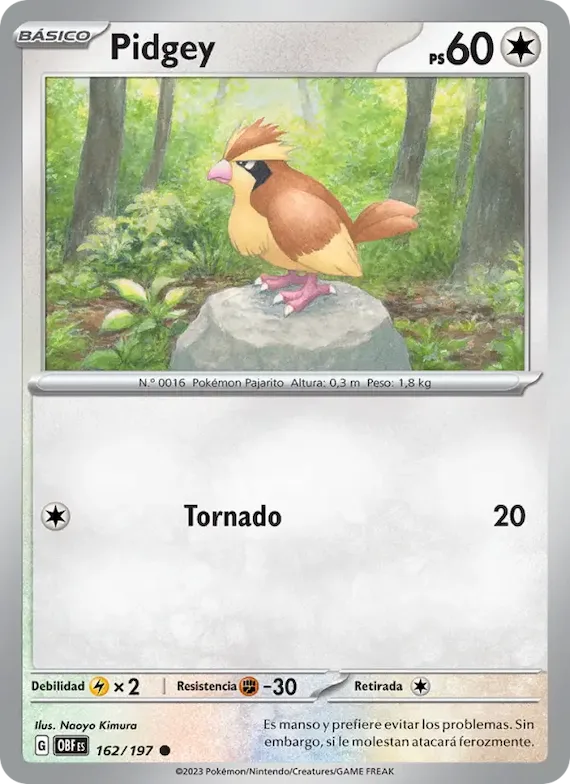 Pidgey 162 – Llamas Obsidianas