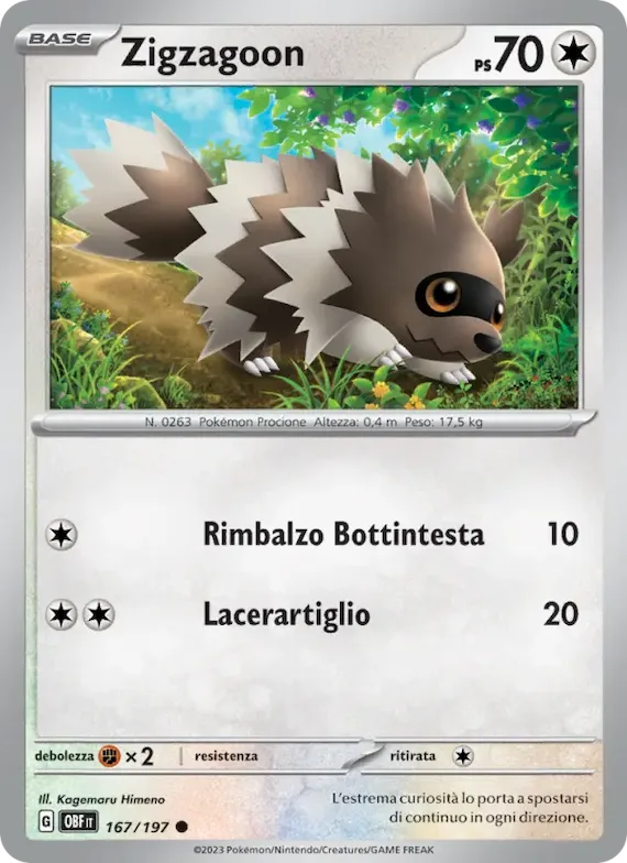 Zigzagoon 167 – Ossidiana Infuocata