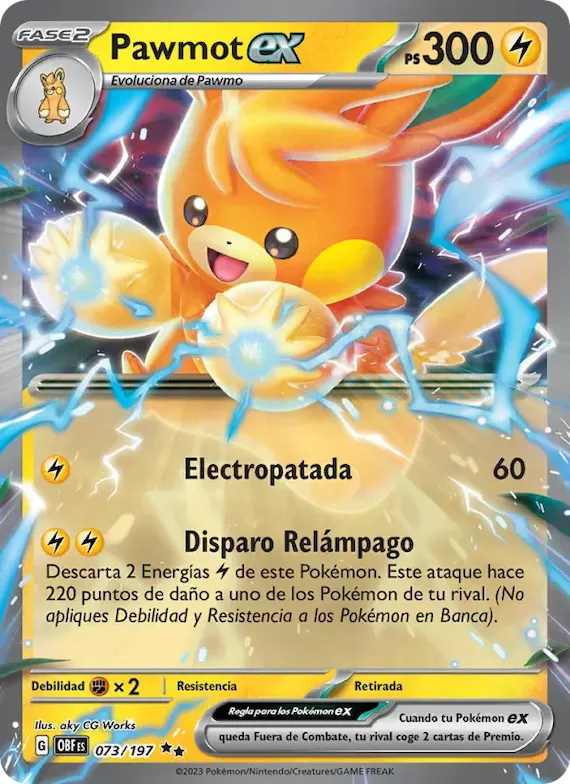 Pawmot ex 73 – Llamas Obsidianas
