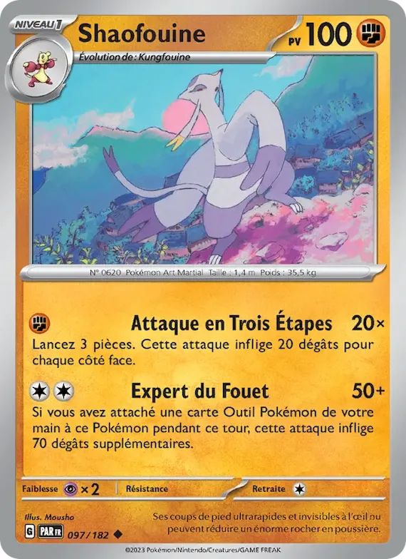 Shaofouine 97 – Faille Paradoxe
