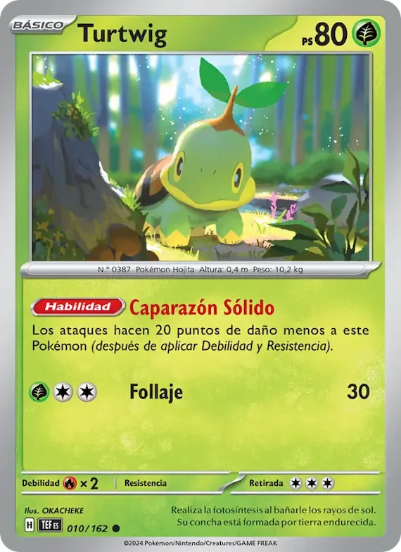 Turtwig 10 – Fuerzas Temporales