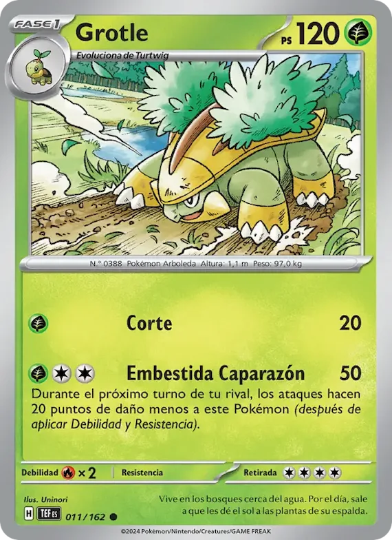 Grotle 11 – Fuerzas Temporales