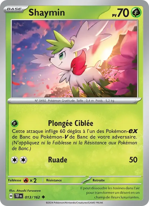 Shaymin 13 – Forces Temporelles
