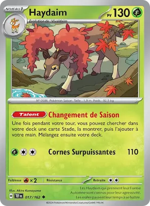 Haydaim n° 17 – Forces Temporelles
