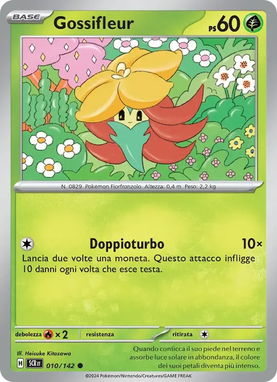 Gossifleur 10 – Corona Astrale
