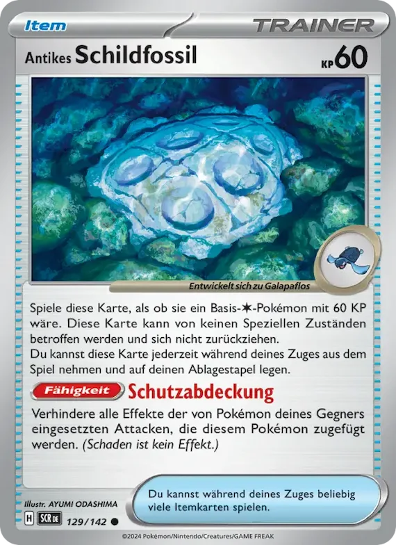 Antikes Schildfossil 129 – Stellarkrone