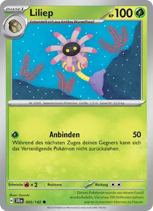 Liliep Nr. 5 – Stellar Crown
