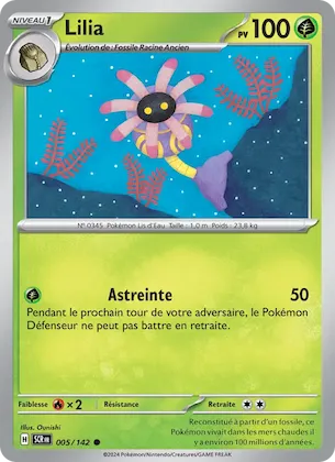 Lilia n° 5 – Couronne Stellaire