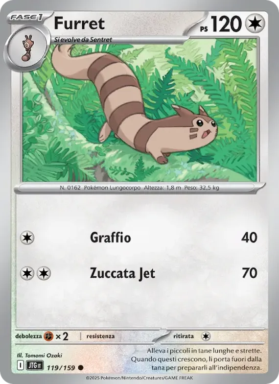 Furret 119 – Avventure Insieme