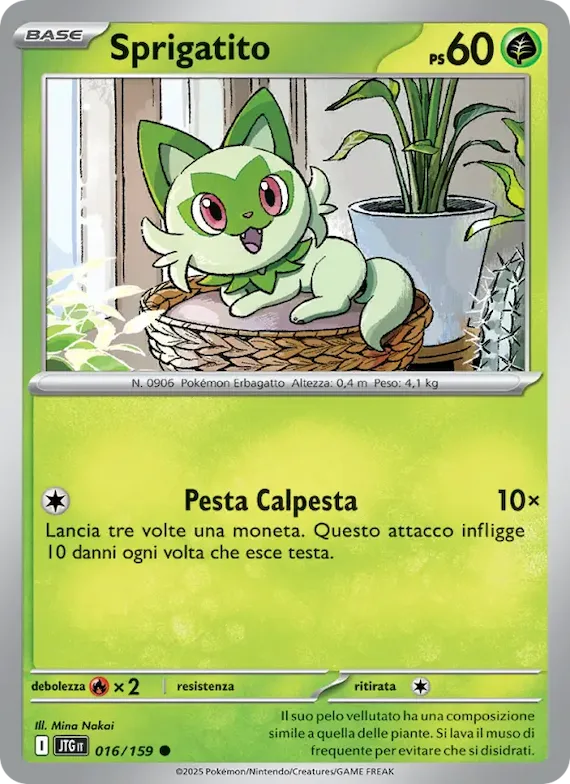 Sprigatito 16 – Avventure Insieme