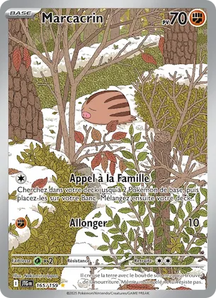 Marcacrin n° 165 – Aventures Ensemble