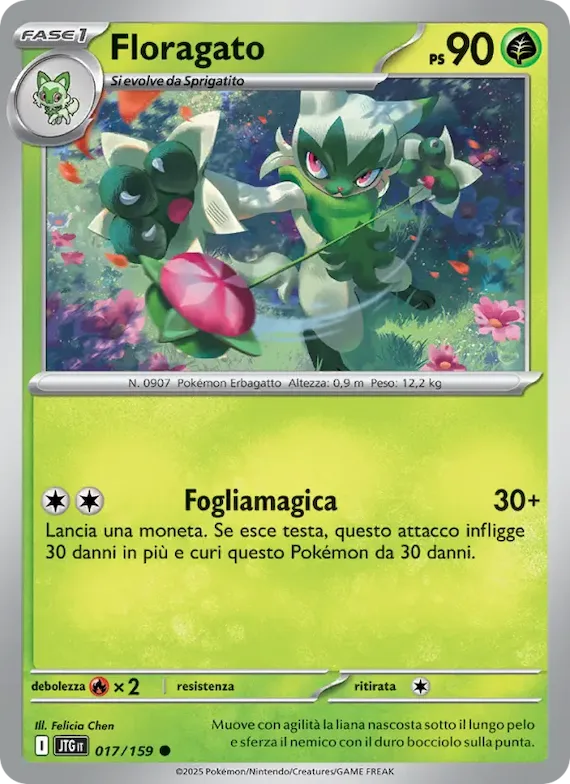 Floragato 17 – Avventure Insieme