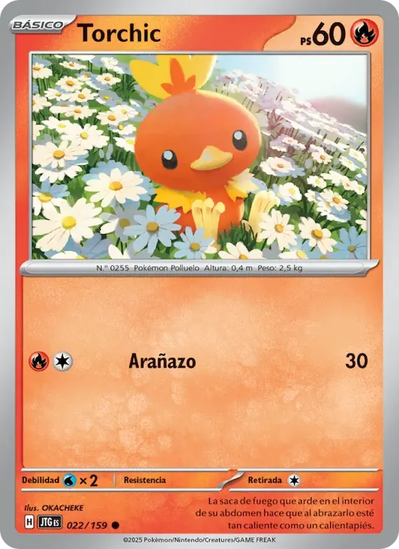 Torchic 22 – Juntos de Aventuras