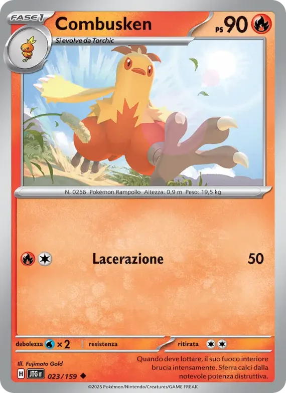 Combusken 23 – Avventure Insieme