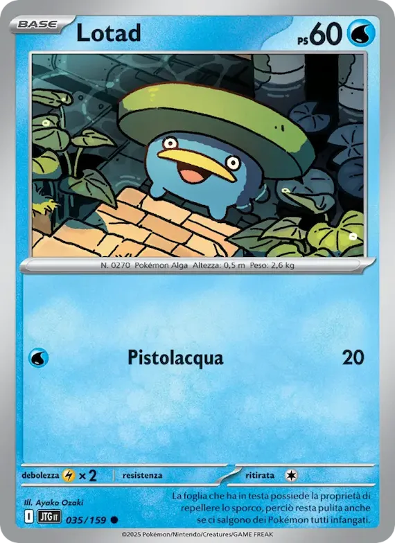 Lotad 35 – Avventure Insieme