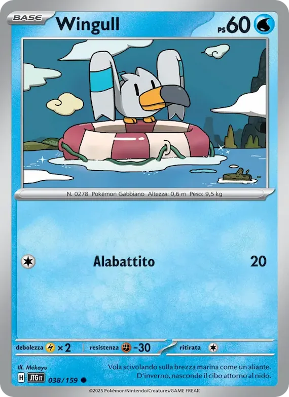 Wingull 38 – Avventure Insieme