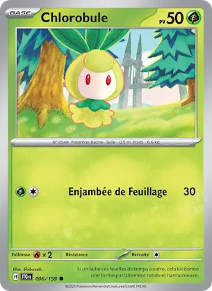 Chlorobule n° 6 – Aventures Ensemble
