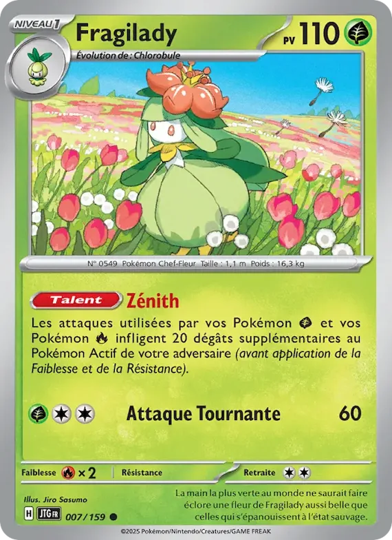 Fragilady 7 – Aventures Ensemble