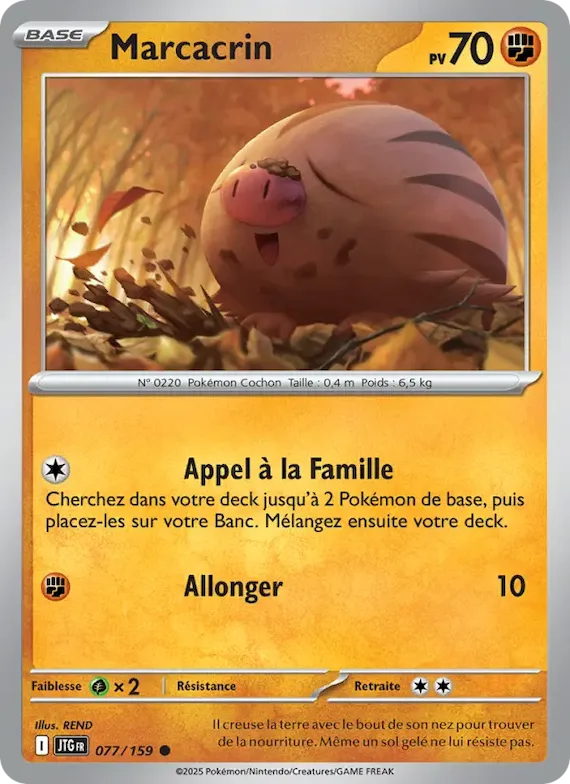 Marcacrin 77 – Aventures Ensemble