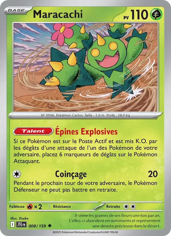 Maracachi 8 – Aventures Ensemble