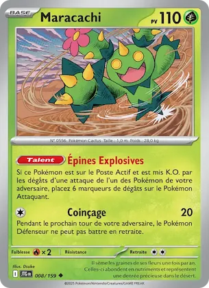 Maracachi n° 8 – Aventures Ensemble