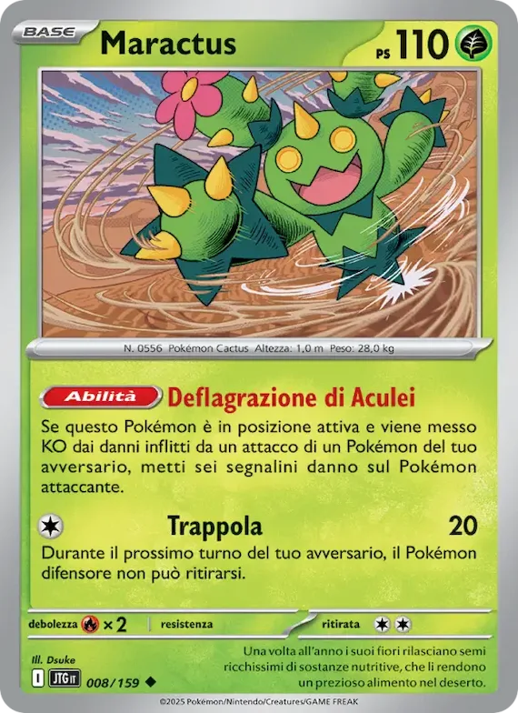Maractus 8 – Avventure Insieme