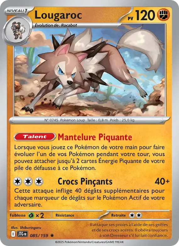 Lougaroc 85 – Aventures Ensemble
