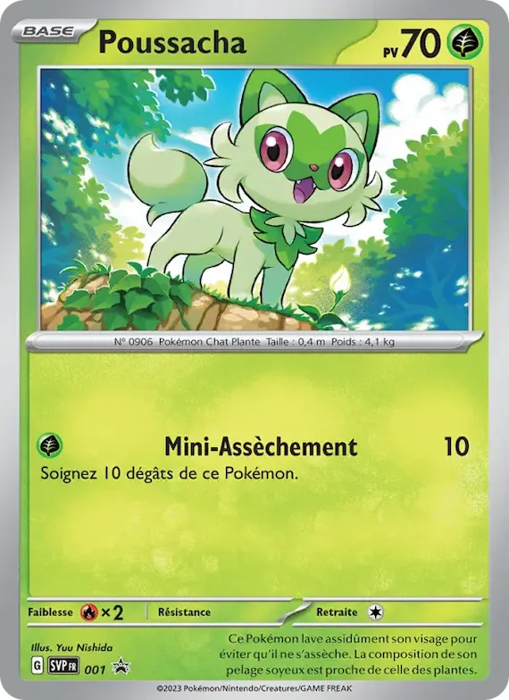 Poussacha 1 – SVP Black Star Promos