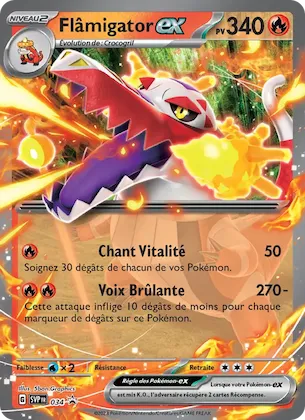 Flâmigator-ex n° 34 – SVP Black Star Promos