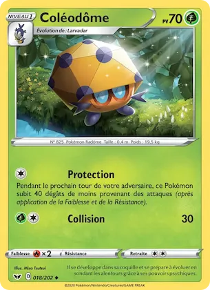 Coléodôme n° 18 – Épée et Bouclier